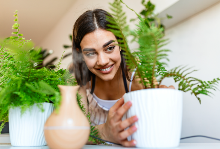 houseplants and stress